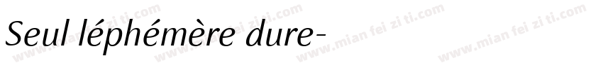 Seul léphémère dure字体转换